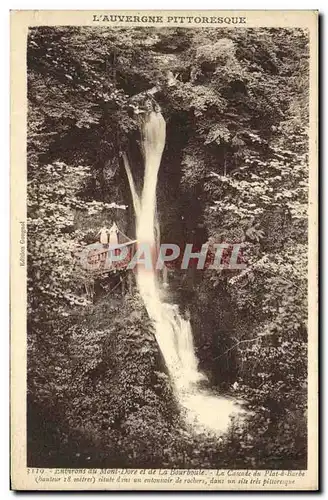 Ansichtskarte AK Environs de Mont Dore et de la Bourboule La cascade du plat a barbe