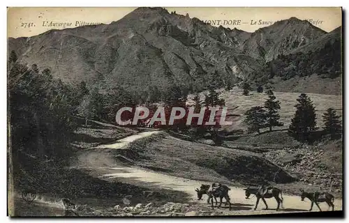 Cartes postales Le Mont Dore Le Sancy et la vallee d enfer