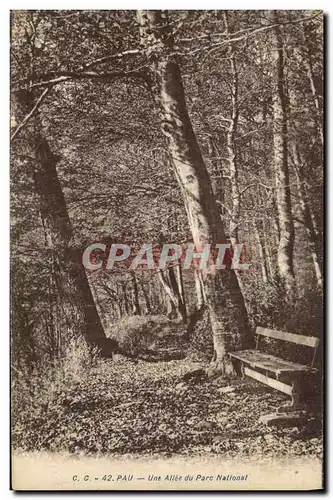 Cartes postales Pau Une Allee Du Parc National