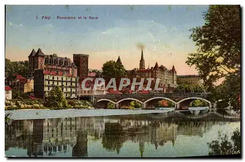 Cartes postales Pau Panorama et Le Gave