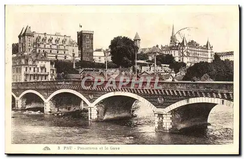 Cartes postales Pau Panorama Et Le Gave