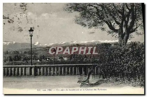 Cartes postales Pau Un Coin du Boulevard Et Le Chaine Des Pyrenees