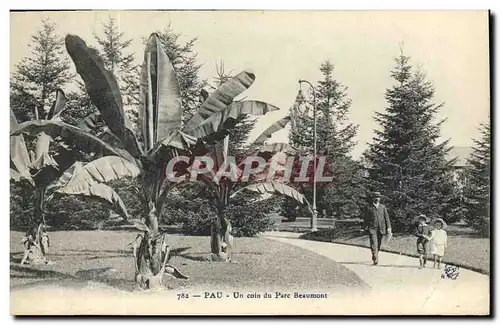 Cartes postales Pau Un Coin Parc Beaumont