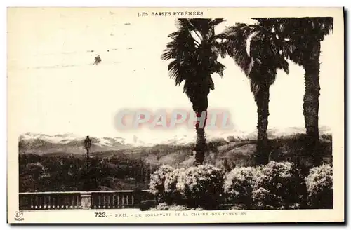 Cartes postales Pau Le Boulevard Et La Chaine Des Pyrenees