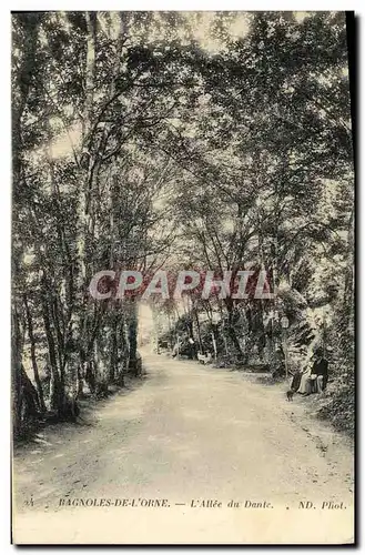 Cartes postales Bagnoles De L Orne L Allee du Dante
