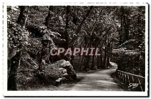 Cartes postales moderne Bagnoles De L Orne Allee du Dante