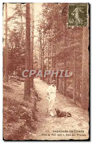 Cartes postales Bagnoles De L Orne Allee de Pins dans le Parc des Thermes