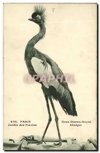 Ansichtskarte AK Paris Jardin des Plantes Grue Oiseau royal Senegal