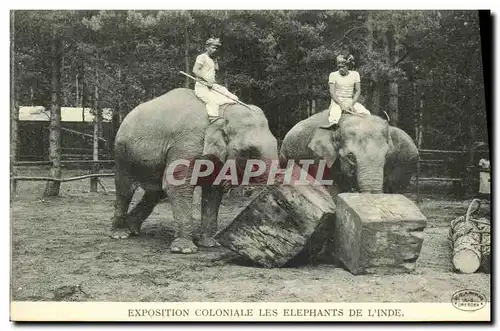 Ansichtskarte AK Paris Exposition Coloniale Les Elephants De L inde