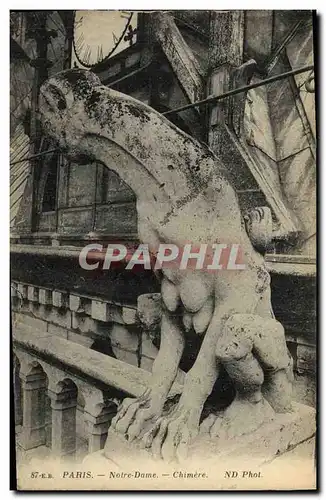 Cartes postales Paris Notre Dame Chimere