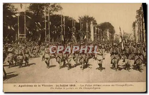 Cartes postales Apotheose de la Victoire 14 Juillet 1919 Les Poilus Avenue des Champs Elysees Militaria Paris