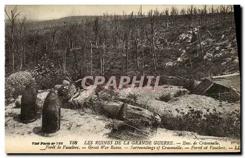 Cartes postales Les Ruines De La Grande Guerre Environs de Craonnelle Foret de Vauclerc Militaria