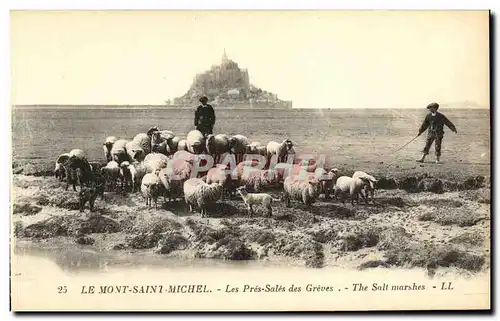 Ansichtskarte AK Le Mont Saint Michel Les Pres Sales des Greves Berger et moutons