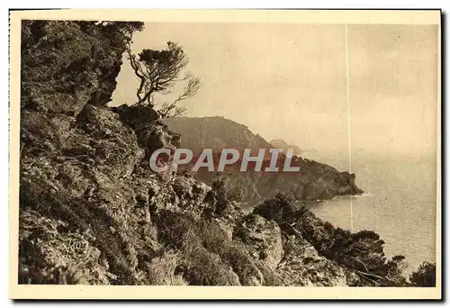 Ansichtskarte AK Les Iles D Hyeres Porquerolles Vue sur la Pointe de L Oustaou