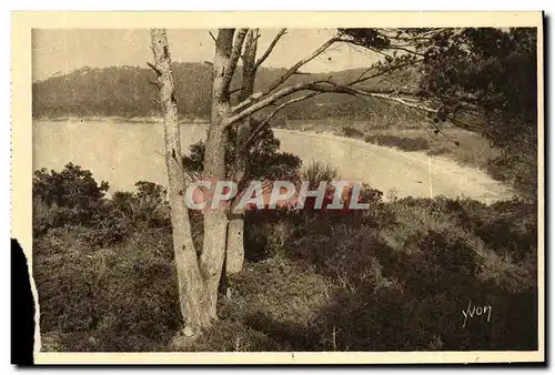 Cartes postales Les Iles D Hyeres Porquerolles La Grande Plage