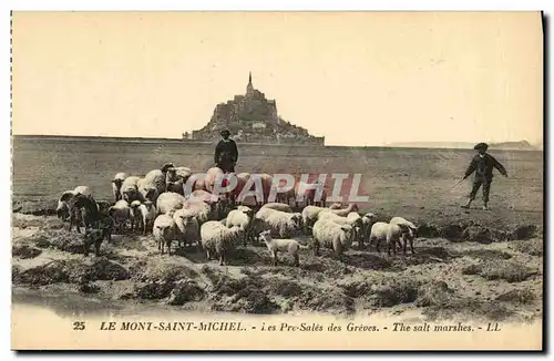 Ansichtskarte AK Le Mont Saint Michel Les Pres Sales des Greves Berger Moutons