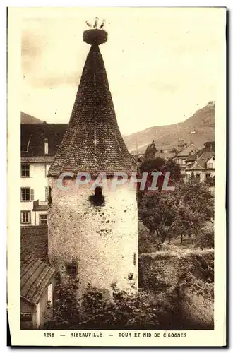 Cartes postales Ribeauville Tour Et Nid De Clgognes