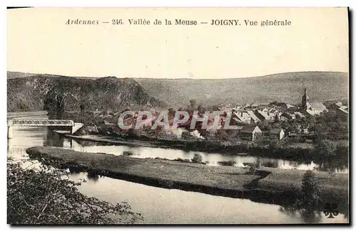 Ansichtskarte AK Joigny Vue Generale Vallee de la Meuse