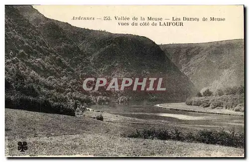 Ansichtskarte AK Laifour Vallee de la Meuse Les dames de Meuse vus du cote de Lafour