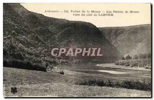 Cartes postales Laifour Vallee de la Meuse Les dames de Meuse vus du cote de Lafour