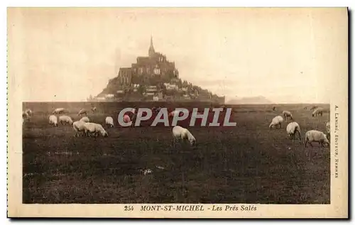 Ansichtskarte AK Mont St Michel Les Pres Sales Moutons