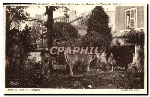 Cartes postales Clermont Ferrand Fontaine Petrifiante des Grottes du Perou de St Alyre