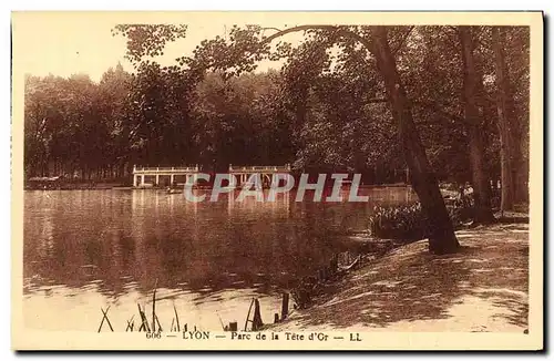 Cartes postales Lyon Le Parc de la Tete d Cr