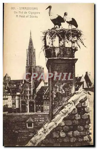 Cartes postales Strasbourg Un nid de Cigognes