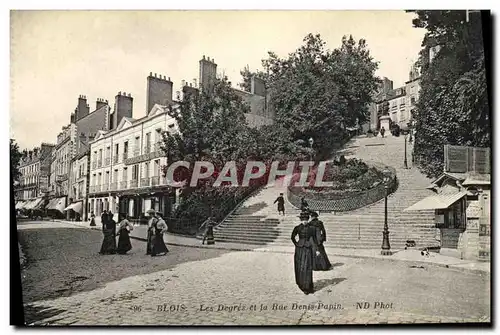 Cartes postales Blois Les Degres et la Rue Denis Papin