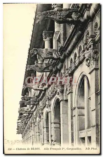 Cartes postales Blois Chateau de Aile Francois 1er Gargouilles