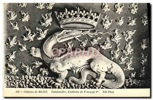 Cartes postales Blois Chateau de Salamandre Embleme de Francois 1er