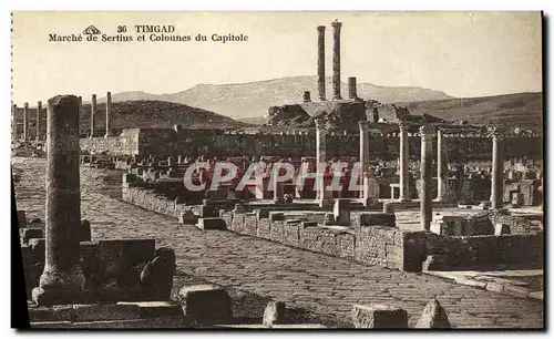 Ansichtskarte AK Timgad Marche de Sertius et Colonnes du Capitole