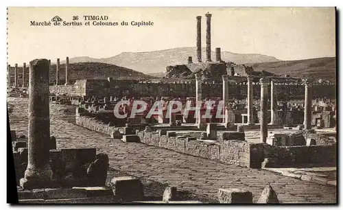 Cartes postales Timgad Marche de Sertius et Colonnes du Capitole