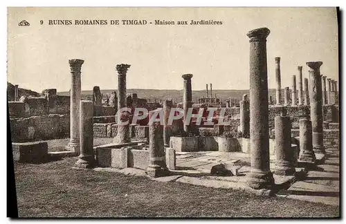 Ansichtskarte AK Ruines Romaines De Timgad Maison aux Jardinieres