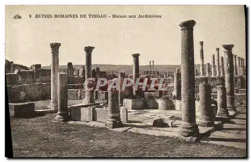 Cartes postales Ruines Romaines De Timgad Maison aux Jardinieres