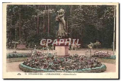 Cartes postales Strassburg L Orangerie