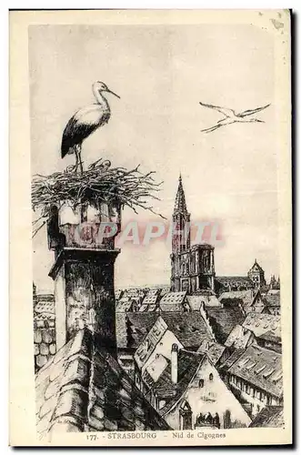 Cartes postales Strasbourg Nid de Cigognes