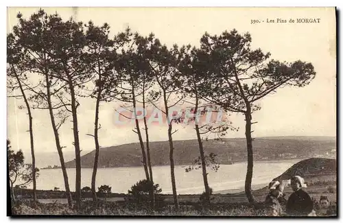 Cartes postales Les Pins de Morgat