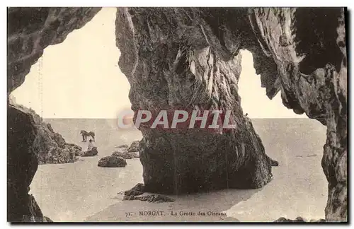 Cartes postales Morgat La Grotte des Oiseaux