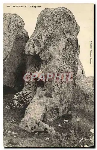 Cartes postales Brignogan L Elephant