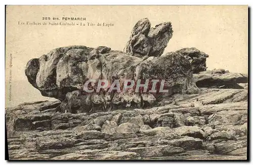 Cartes postales Bis Penmarch Les Rochers de Saint Gurnole La Tete de Lapin