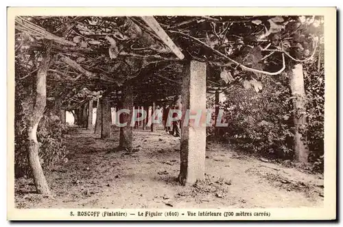 Cartes postales Roscoff Le Figuier Vue Interieure