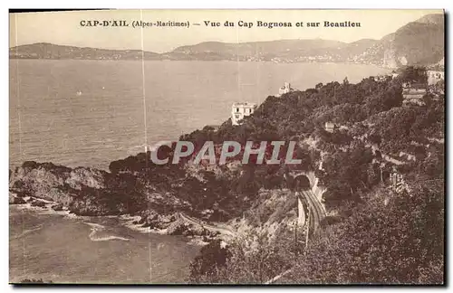 Cartes postales Cap D Ail Vue du Cap Bognosa et sur Beaulieu