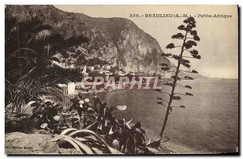 Cartes postales Beaulieu Sur Mer Petite Afrique