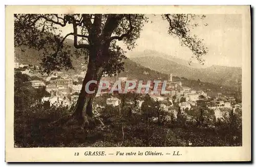 Cartes postales Grasse Vue entre les Oliviers