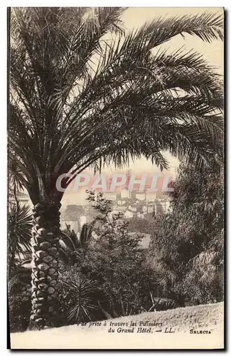 Cartes postales Grasse Vue prise a travers les palmier du Grand Hotel