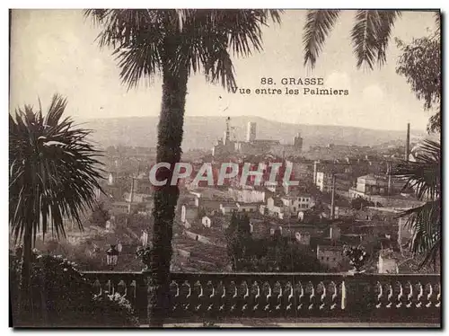 Cartes postales Grasse Vue Entre les Palmiers