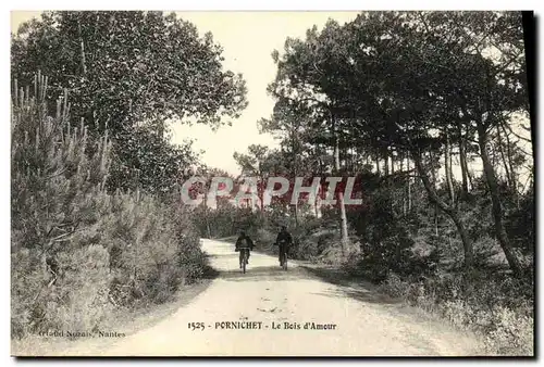 Cartes postales Pornichet Le Bois d amour