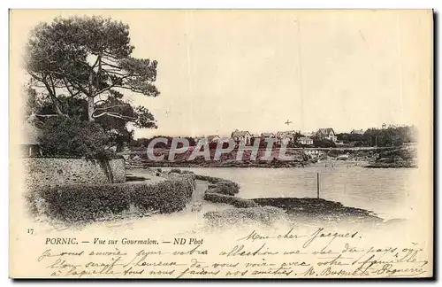 Cartes postales Pornic Vue sur Gourmalon