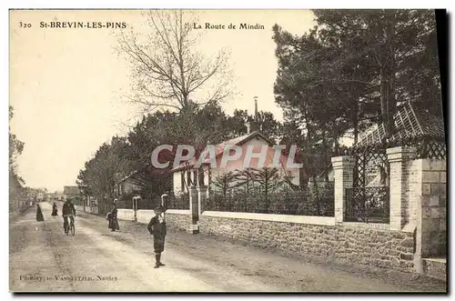 Cartes postales Saint Brevin Les Pins La Route de Mindin